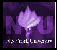 New York University Logo